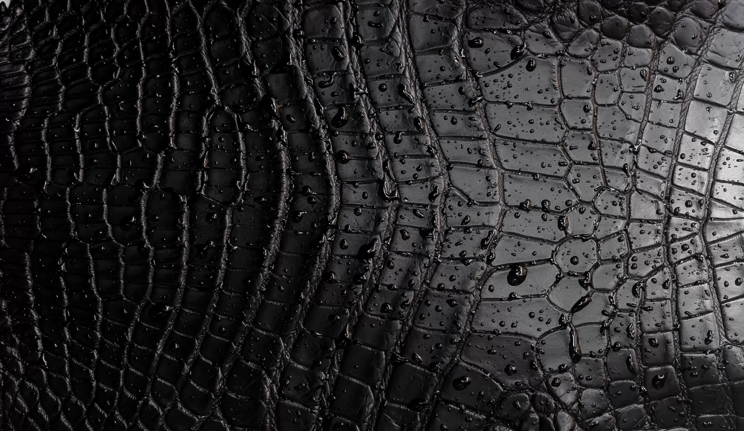 black crocodile leather